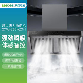 CXW-258-KC1-1 吸油烟机