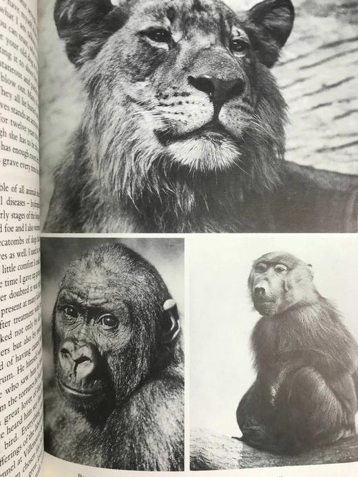 阿克塞尔·蒙特《圣米歇尔的故事》 30幅插图 精装16开带书匣 商品图11