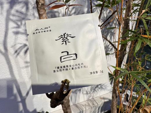 素白 高货饼干茶 5克/片 10片起拍 商品图1