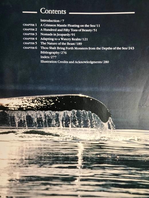 雅克·库斯托鲸鱼图集 283幅插图（200余幅彩色） 精装大16开 商品图5