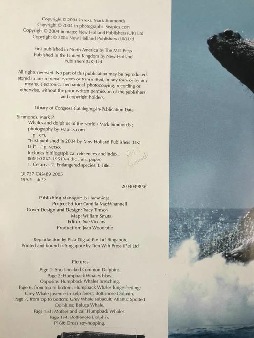 世界鲸鱼与海豚图集 180幅彩色插图 精装大16开 商品图4