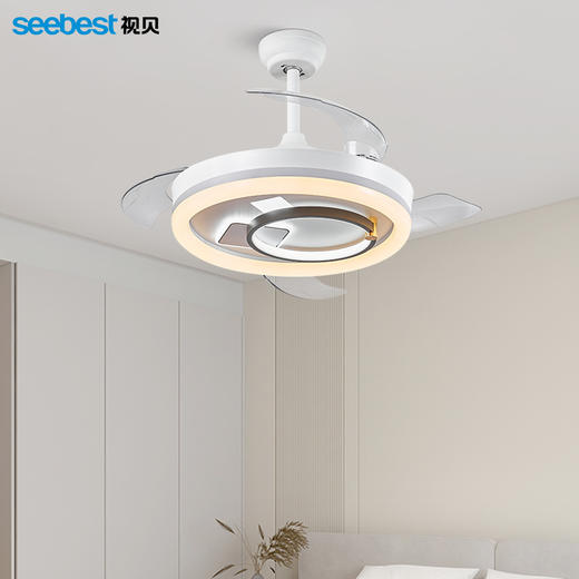 舒曼-风扇灯 商品图3