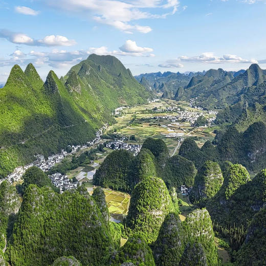 边玩边养老丨漫游黔西南，罗平万亩油菜花绚烂，奇秀万峰林，毕节百里杜鹃绘就绝美画卷！ 商品图4