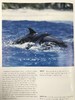 世界鲸鱼与海豚图集 180幅彩色插图 精装大16开 商品缩略图9