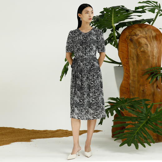 戴布拉芬连衣裙L27B573 商品图1