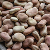 生态干蚕豆| 合作生产*Ecological dried broad beans| Coproducted 商品缩略图0
