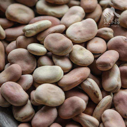 生态干蚕豆| 合作生产*Ecological dried broad beans| Coproducted 商品图0
