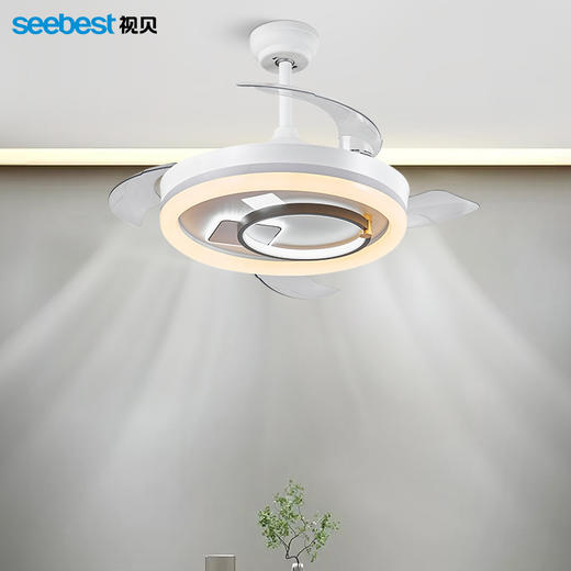 舒曼-风扇灯 商品图0