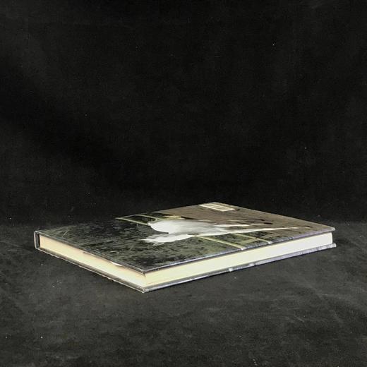 骏马百科全书 400余幅插图 精装16开 商品图2