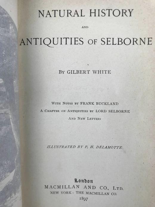 1897年 怀特《塞耳彭自然史》 数十幅版画插图 全真皮精装32开 商品图3