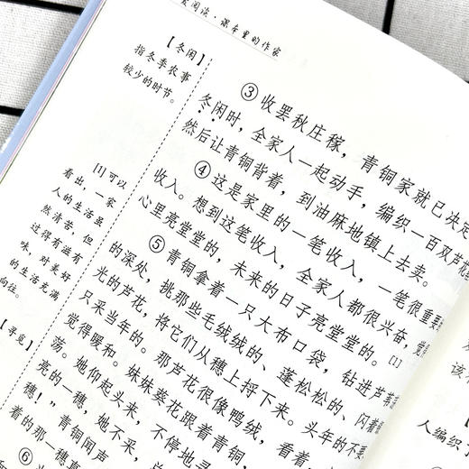 曹文轩经典小说:芦花鞋 学生精读版 彩插精读版 商品图4