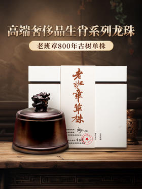 【龙首—老班章】2024年单株龙珠，原料来自7号茶农黄自美家，尽享高端奢侈，每罐加送旅行锡罐