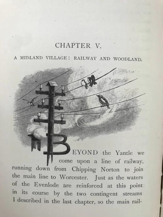 1891年 与鸟类在一起的一年 21幅版画插图 漆布精装32开 商品图13