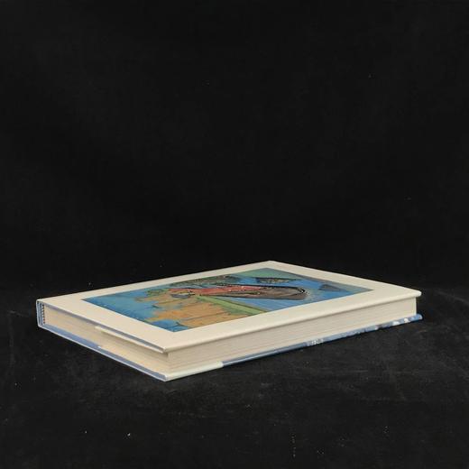 雅克·库斯托鲸鱼图集 283幅插图（200余幅彩色） 精装大16开 商品图2