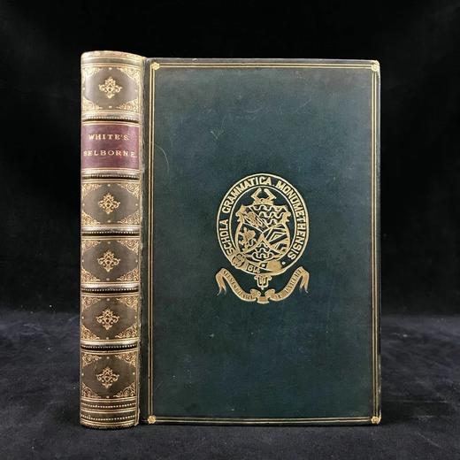 1897年 怀特《塞耳彭自然史》 数十幅版画插图 全真皮精装32开 商品图0