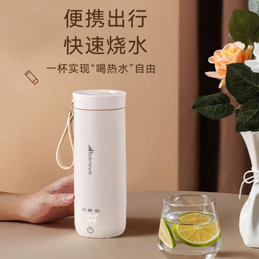 【小家电】Abereve艾贝丽电热水杯热水壶便携式旅行加热家用烧水保温杯外出迷你水杯ABL-BX17 HF 商品图1