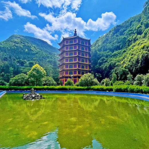 边玩边养老丨漫游黔西南，罗平万亩油菜花绚烂，奇秀万峰林，毕节百里杜鹃绘就绝美画卷！ 商品图5