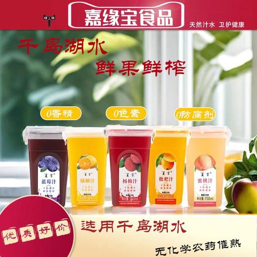 清凉一夏果汁组合 界首橘柚汁/杨海汁/枇杷汁/蓝莓汁350ML*6（4选3） 商品图0