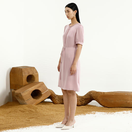 戴布拉芬连衣裙L27B556 商品图1