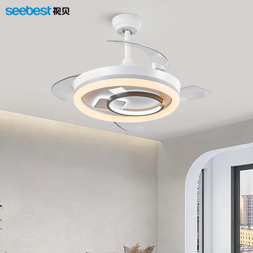 舒曼-风扇灯 商品图1