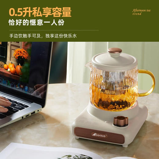 【小家电】艾贝丽Abereve艾贝丽养生杯(含茶漏) ABL-DD67 HF 商品图4