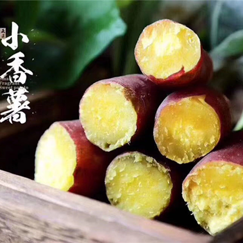 甄源|临安天目山小香薯4.5-5斤中果共30个左右