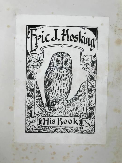 含藏书票！1907年 鸟类收藏者的旋律 12幅彩色数十幅黑白插图 漆布精装16开 商品图2