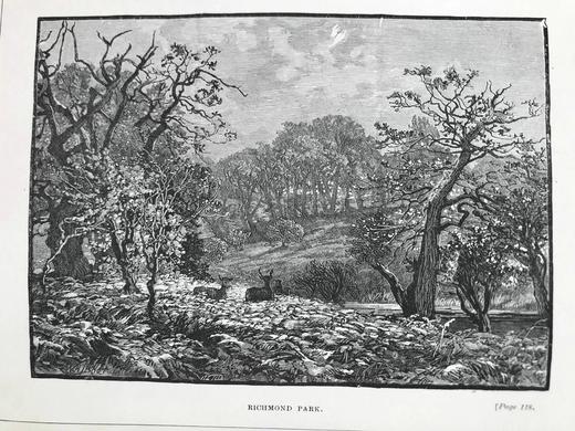 约19世纪后期 英国城乡风光图集 数十幅精美版画插图 漆布精装大32开 商品图2