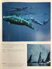 世界鲸鱼与海豚图集 180幅彩色插图 精装大16开 商品缩略图10
