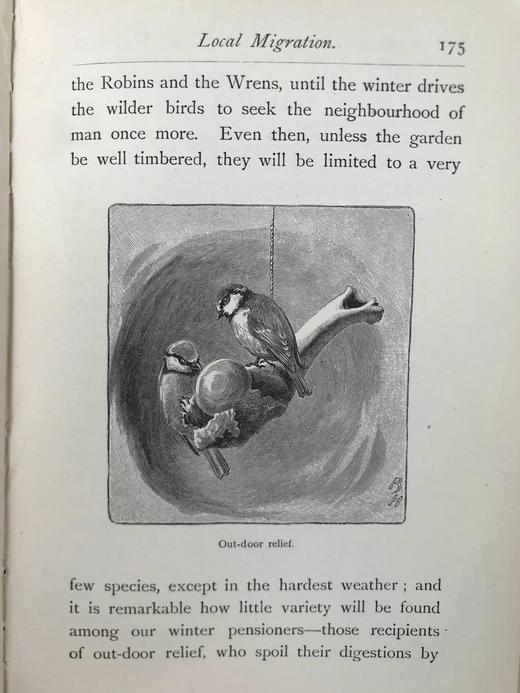 1891年 与鸟类在一起的一年 21幅版画插图 漆布精装32开 商品图11