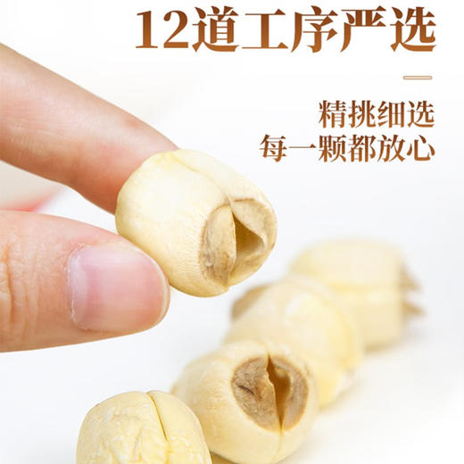 建莲 有机莲子 建宁通心白莲 236g 袋装 建宁特产 商品图1