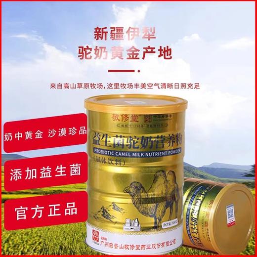 白云山星群 骆驼乳营养粉 500g罐装 中华老字号 奶粉蛋白粉 固体饮料 驼奶蛋白粉 商品图1