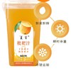 清凉一夏果汁组合 界首橘柚汁/杨海汁/枇杷汁/蓝莓汁350ML*6（4选3） 商品缩略图3