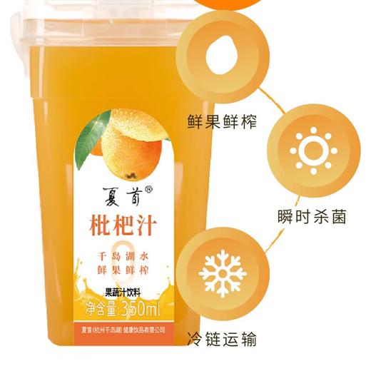 清凉一夏果汁组合 界首橘柚汁/杨海汁/枇杷汁/蓝莓汁350ML*6（4选3） 商品图3