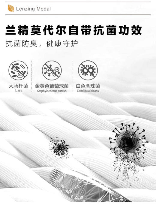 兰精莫代尔棉24夏天新品男中筒袜抗菌轻薄透气商务男士袜子 商品图5