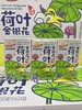 阳光先生 荷叶金银花250ml   4897114060589 商品缩略图0