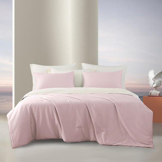 8F 梦洁桑蚕丝四季被200X230 商品图0