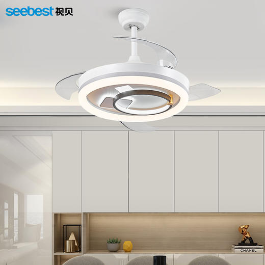 舒曼-风扇灯 商品图2