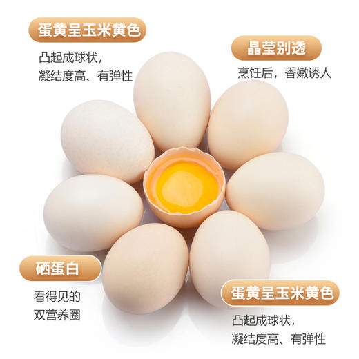 吉祥鸟 富硒鸡蛋 60枚/箱 商品图3