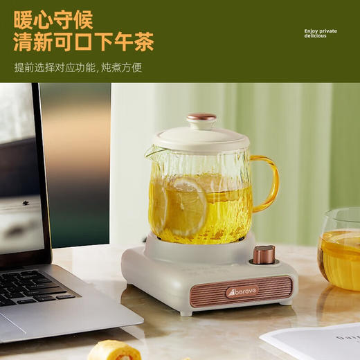 【小家电】艾贝丽Abereve艾贝丽养生杯(含茶漏) ABL-DD67 HF 商品图6