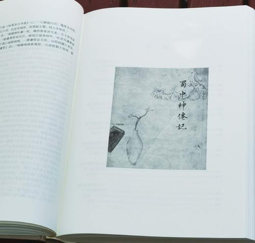 《蜀中广记》，大16开，精装，[明]曹学佺著，上海古籍出版社2020年一版一印，1184页，定价348，售价156元。品9成。 商品图13