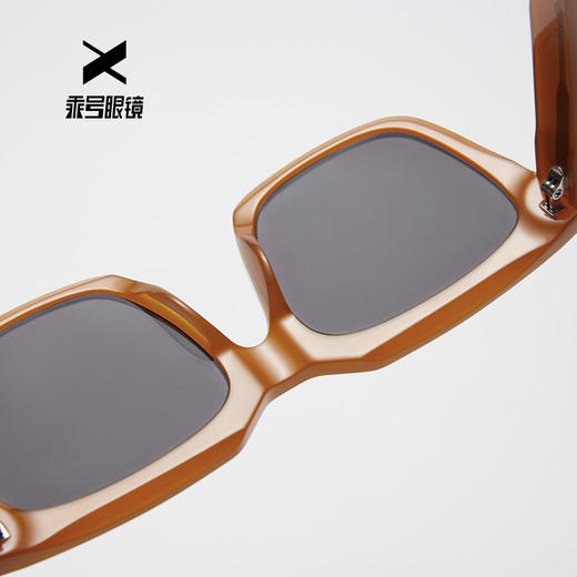 【品牌直发-福利特惠】乘号大方框遮颧骨潮流墨镜EX22101A 商品图4