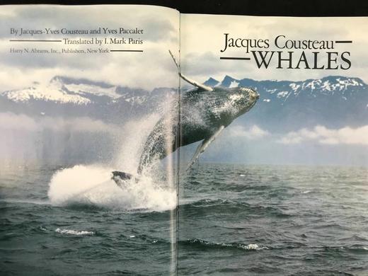 雅克·库斯托鲸鱼图集 283幅插图（200余幅彩色） 精装大16开 商品图3