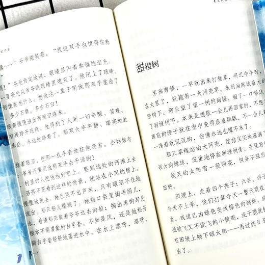 曹文轩经典小说:芦花鞋 学生精读版 彩插精读版 商品图3