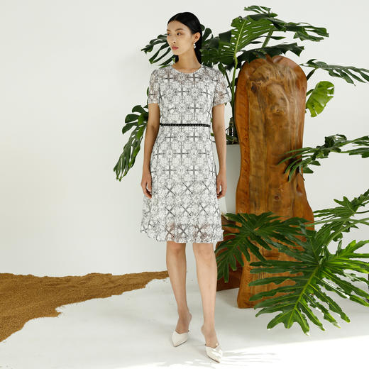 戴布拉芬连衣裙L27B571 商品图1