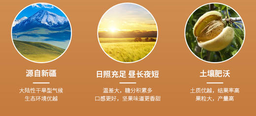 D疆果果甜杏仁220g 商品图3