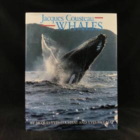 雅克·库斯托鲸鱼图集 283幅插图（200余幅彩色） 精装大16开