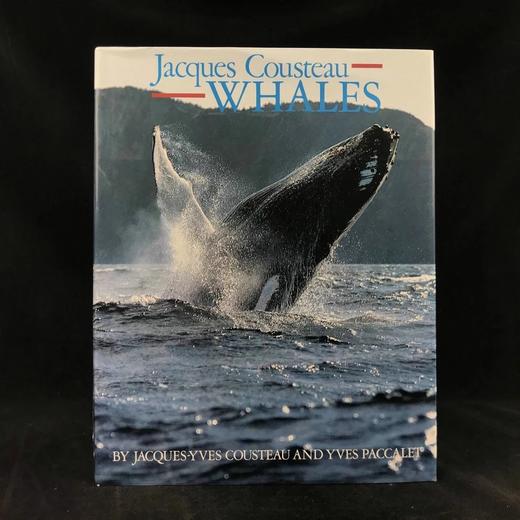 雅克·库斯托鲸鱼图集 283幅插图（200余幅彩色） 精装大16开 商品图0