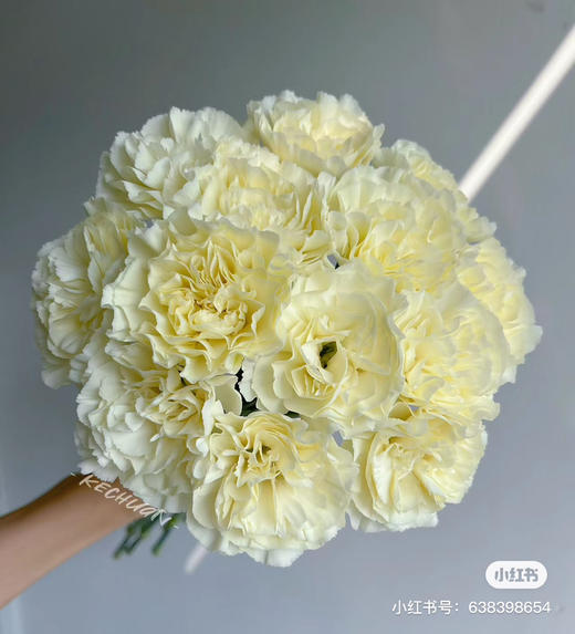 奶油康 商品图0