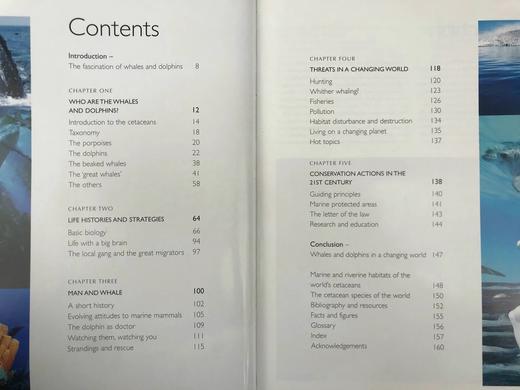 世界鲸鱼与海豚图集 180幅彩色插图 精装大16开 商品图5